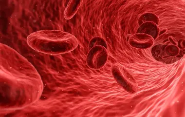 Гемаза — сучасний засіб для лікування тромбів і поліпшення кровообігу